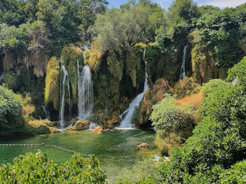 البوسنة 8 ايام سائق خاص