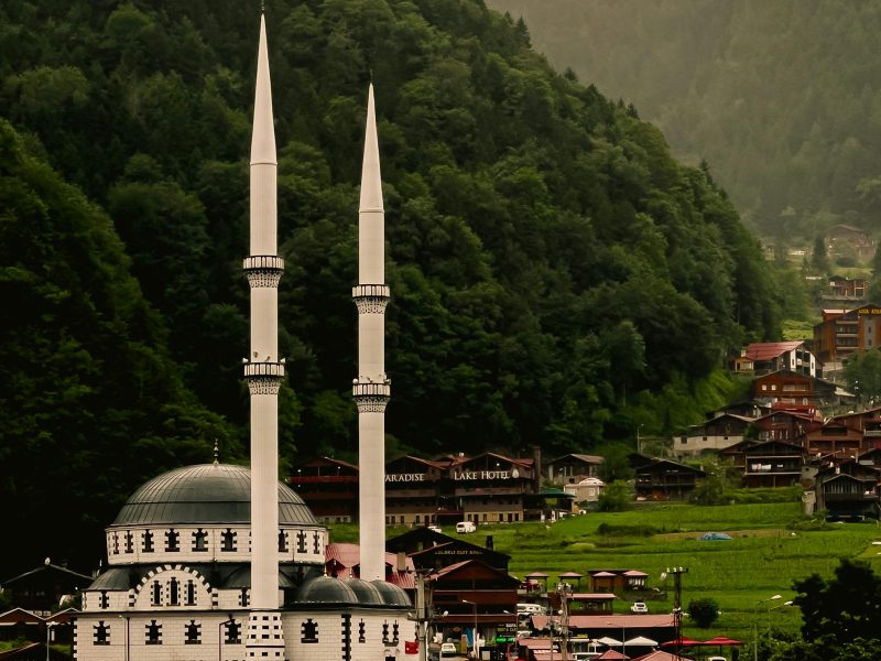 بكجات تركيا