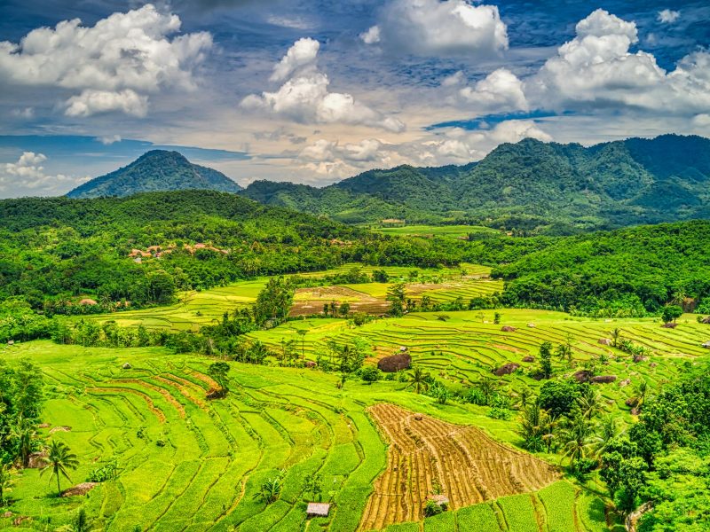 اندونيسيا 8 أيام ( جاكرتا – بونشاك – بالي )