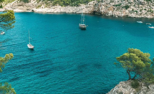 بكجات اوروبا