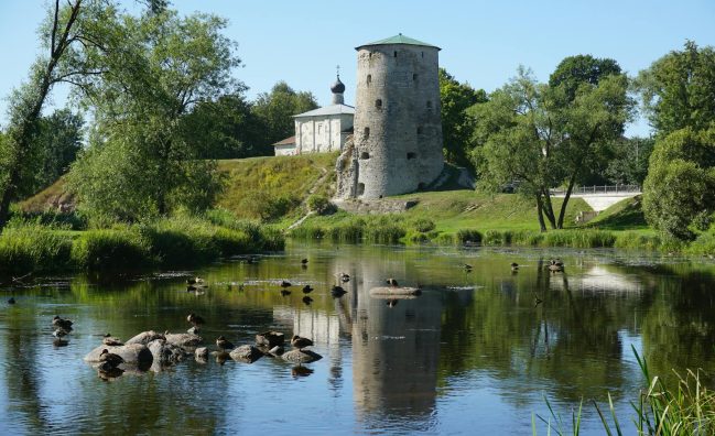 بكجات البوسنة