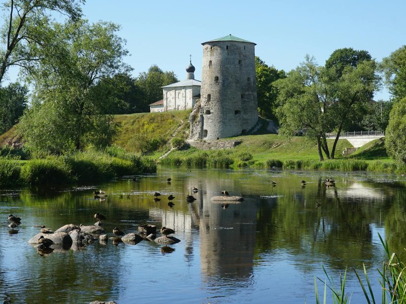 بكجات البوسنة