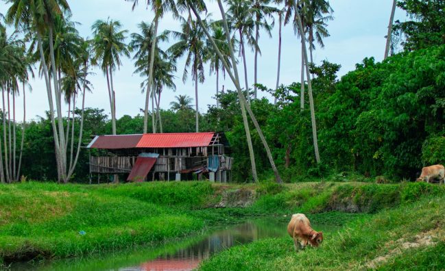 ماليزيا (8 ايام 7 ليالي)